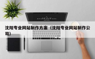 鄢陵沈阳专业网站制作方案（沈阳专业网站制作公司）